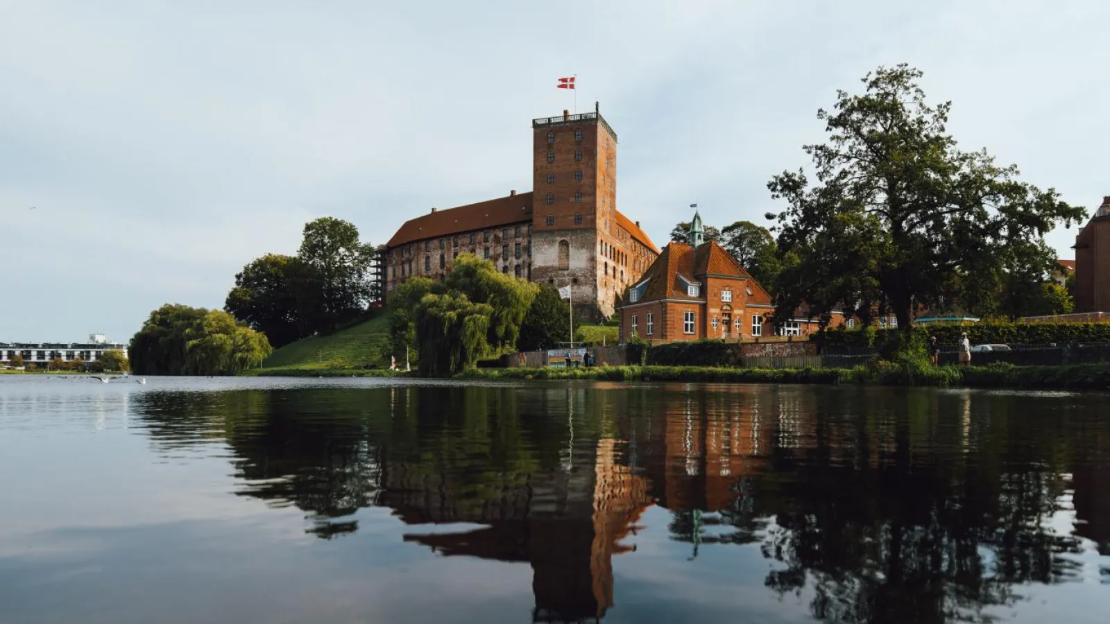 Kolding som lokalt område for personlig træning med BeastFactory